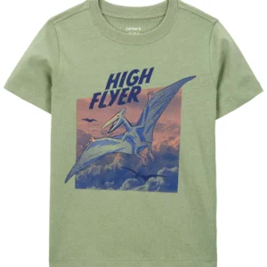 Camiseta High Flyer Carter's